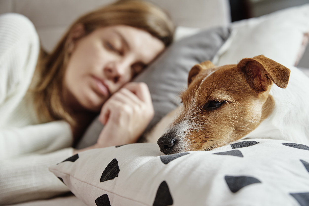 dormir avec son chien animal de compagnie lit femme