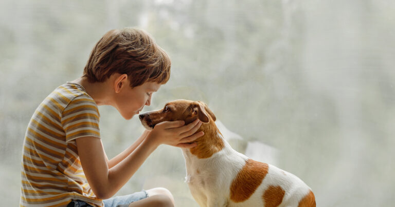 chien enfant garçon embrasser race Jack Russel
