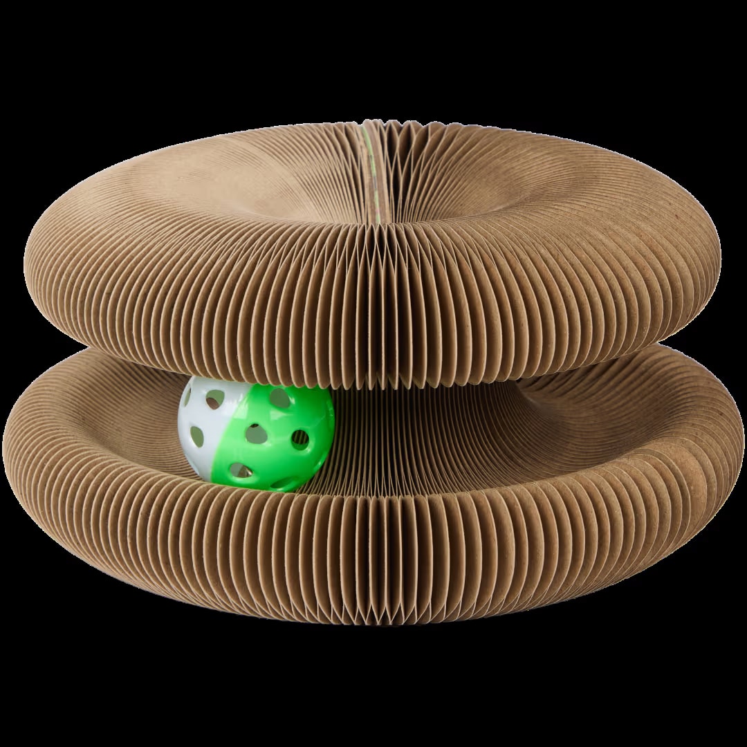 Un investissement sans équivalent pour le bien-être de votre chat