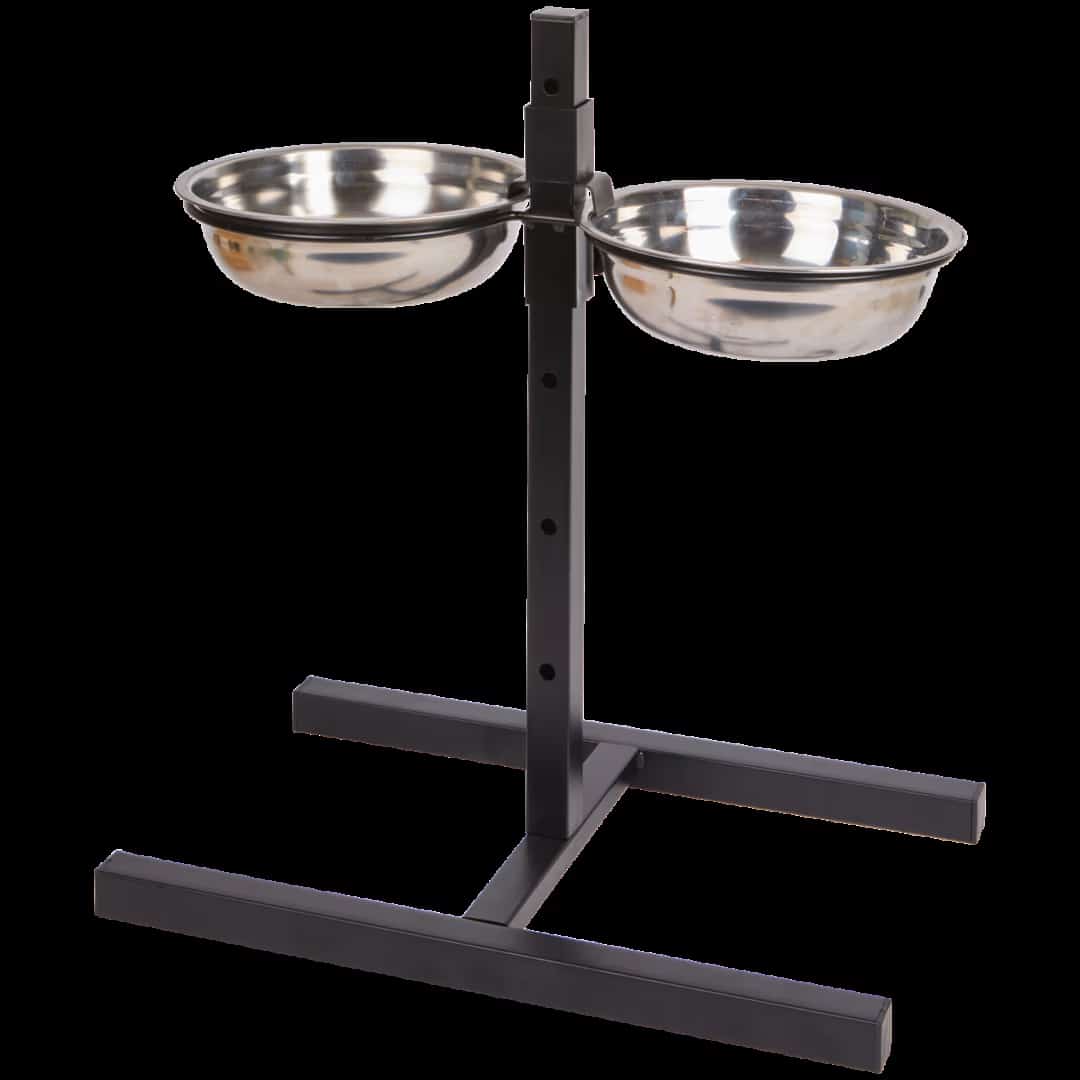 Pourquoi surélever le bol est un geste santé essentiel