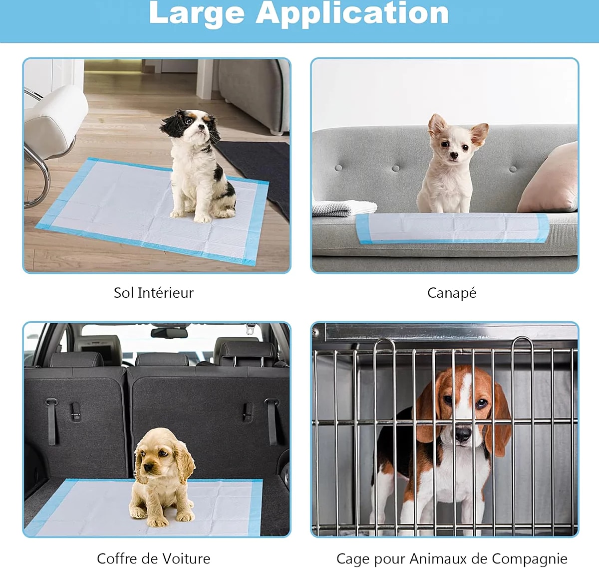 Pourquoi les tapis hygiéniques changent la vie et sauvent vos parquets