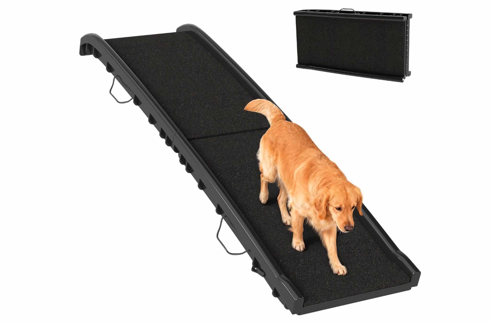 Ce qui change tout : une rampe pliable à 46 € qui remplace le saut par une montée douce