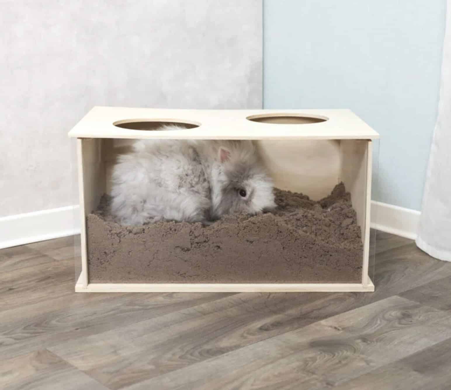 Ce que la boîte à fouiner Animalis a de plus que les jouets classiques