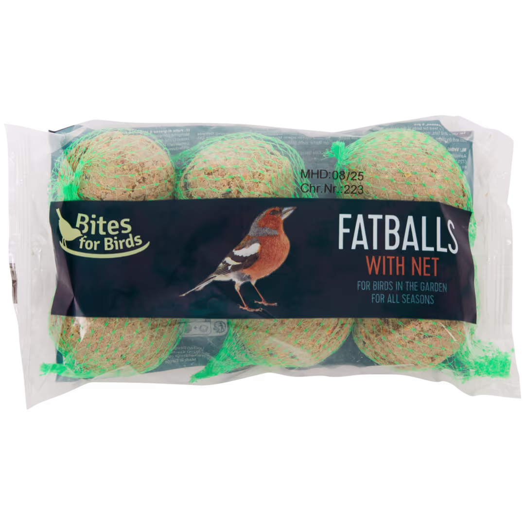 Le produit Action en détail : le lot de 6 boules de graisse qui fait venir du monde