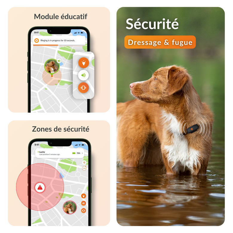 À 31,49 € chez Animalis : le traceur GPS qui change la donne sans se ruiner