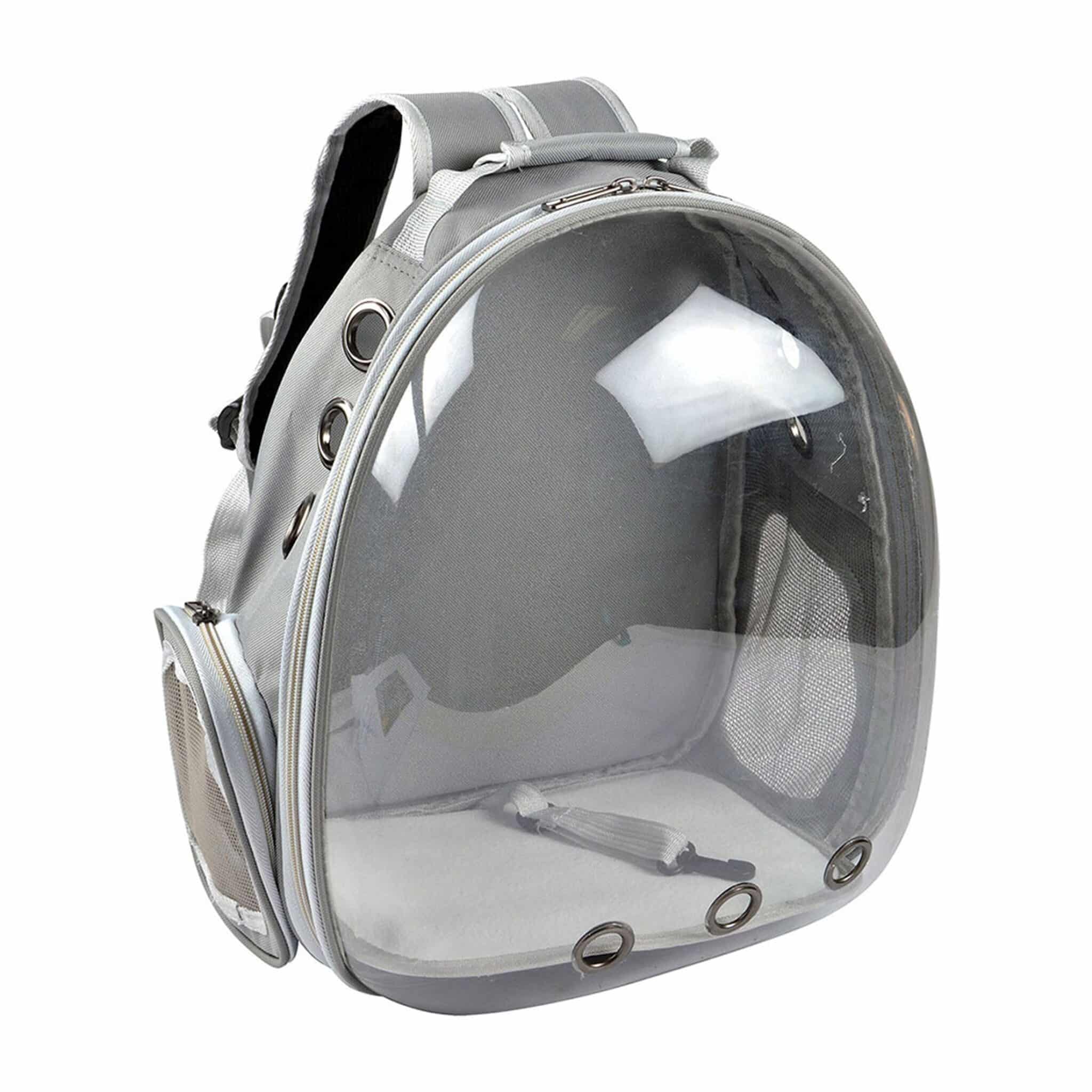 La coque transparente : le détail qui transforme l’expérience de mon chat