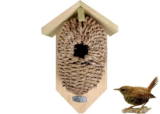 Le charme du jonc de mer : quand le naturel coche toutes les cases