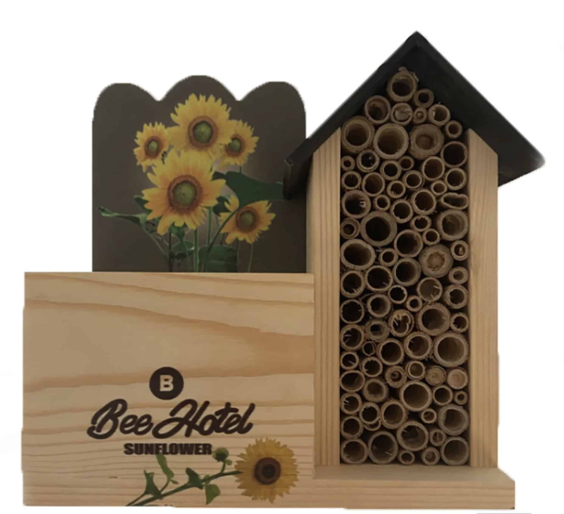 L’erreur que j’ai failli faire en le posant (et pourquoi elle est si fréquente)