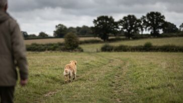 Mon chien trottait à cent mètres devant moi et je le voyais parfaitement : le garde champêtre m'a lu une seule ligne du co...