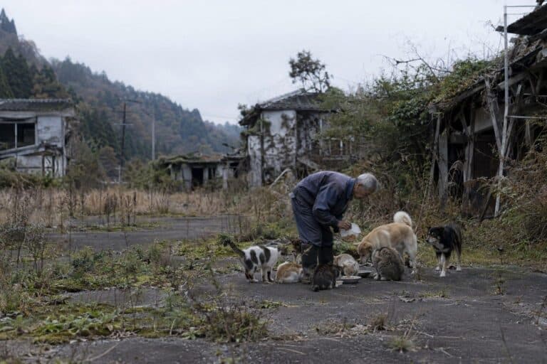 Naoto Matsumura nourrissant des animaux abandonnés dans la zone interdite de Fukushima