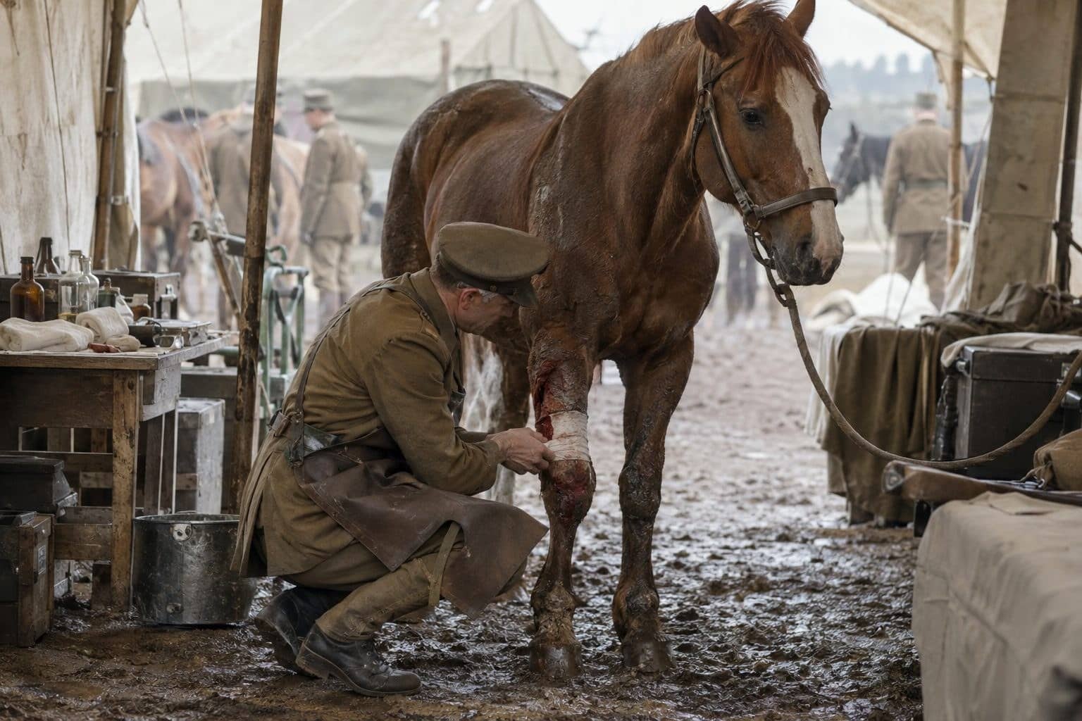 Un cheval blessé soigné par un vétérinaire militaire dans un hôpital de campagne de la Première Guerre mondiale