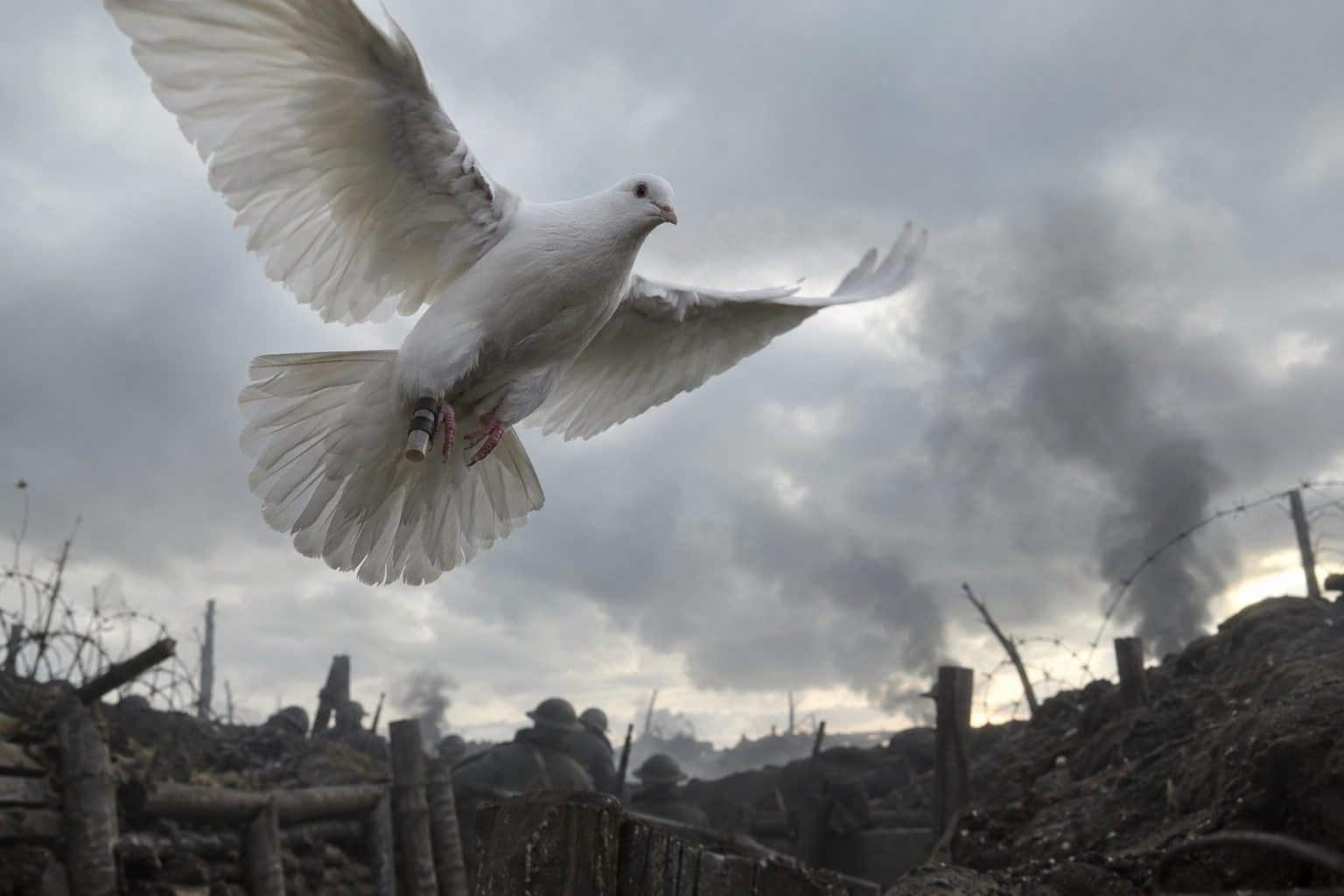 Un pigeon voyageur blanc avec une capsule message attachée à sa patte, en vol au-dessus des tranchées