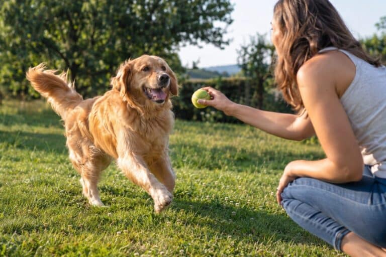 Un chien heureux jouant dehors avec son maître, montrant les vrais signes de bonheur canin