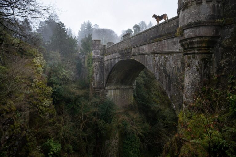 Le pont d'Overtoun en Écosse avec un chien à proximité, illustrant le mystère du lieu
