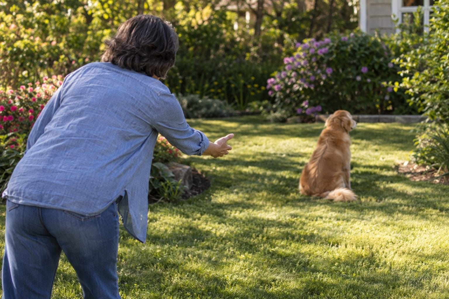 Détection précoce de la surdité chez le chien : les signaux qui doivent alerter les maîtres