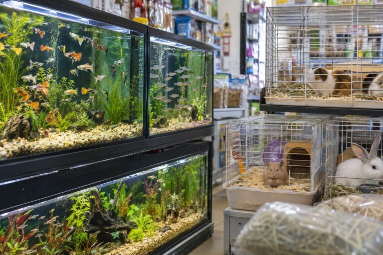 Intérieur d'animalerie avec aquariums de poissons tropicaux et cages d'animaux domestiques