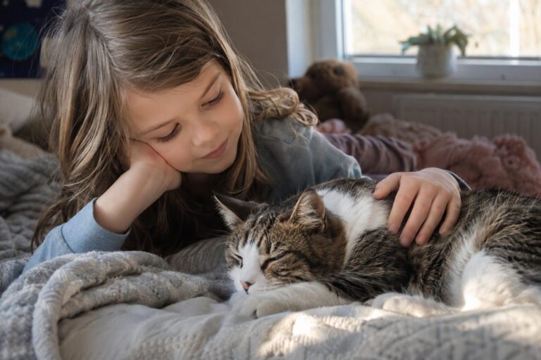 Un enfant triste assis près d'un chat couché, moment d'intimité et de deuil entre l'enfant et son animal de compagnie