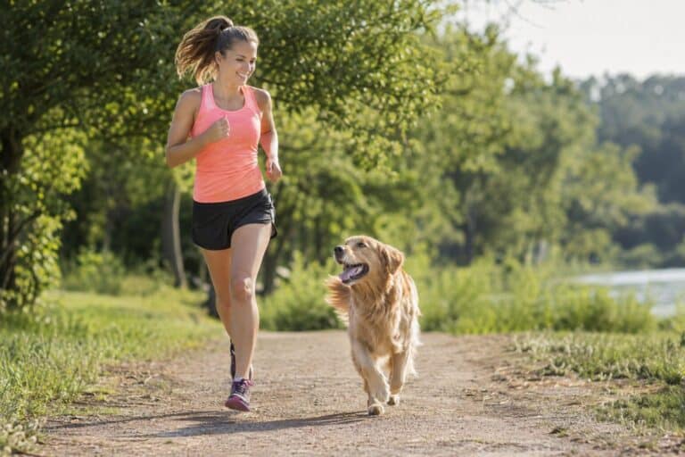 Un propriétaire et son chien pratiquant une activité sportive ensemble en plein air