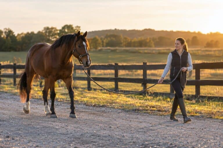 Un cavalier promenant son cheval en main avec une longe, dans un cadre sécurisé