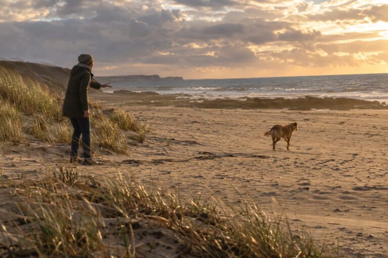 Un chien ignorant son propriétaire qui l'appelle sur une plage de la côte atlantique française