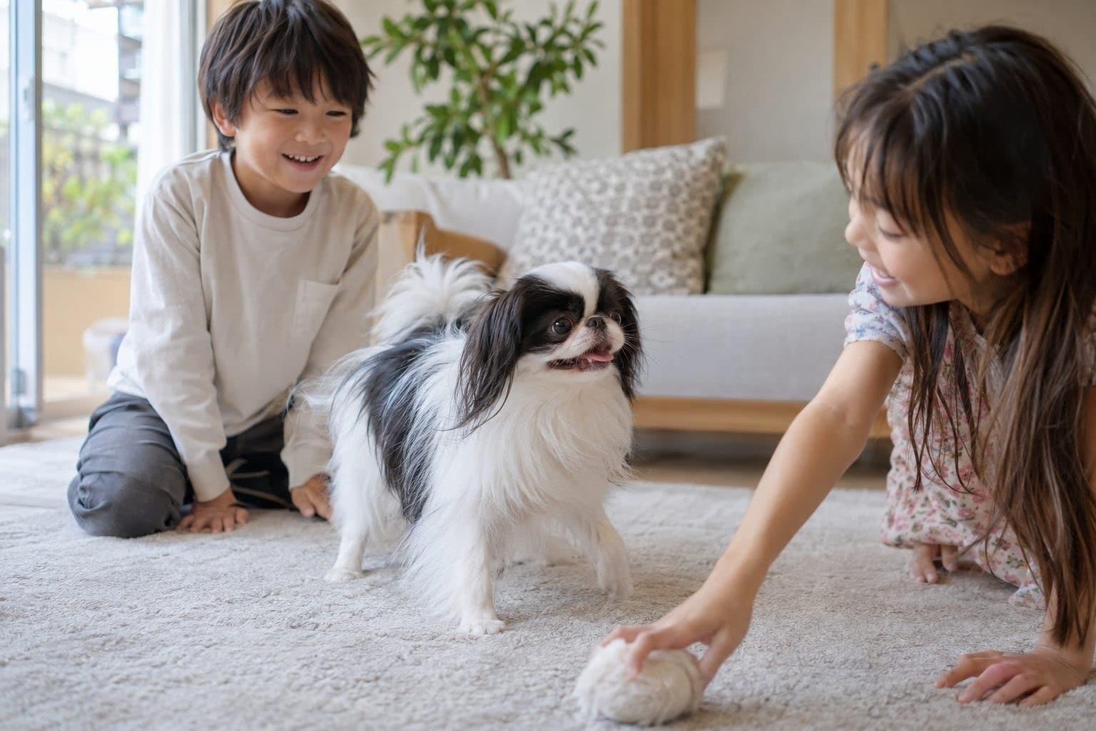 Épagneul japonais jouant avec enfants