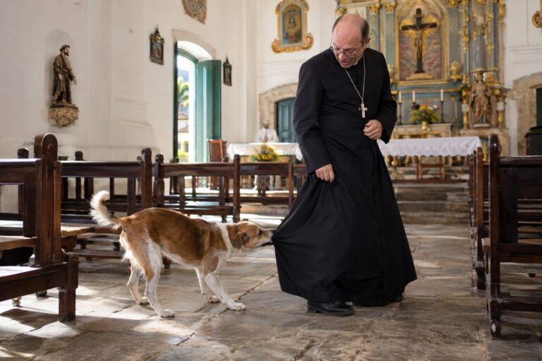 Un chien errant brun et blanc s'approchant d'un prêtre en soutane noire à l'intérieur d'une église brésilienne, en train de tirer sur le bas de sa robe avec sa gueule pendant une messe