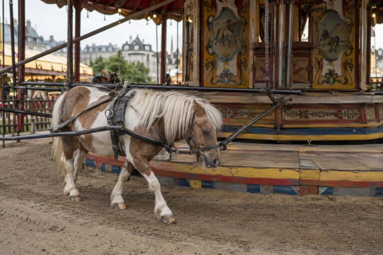 Un poney attaché à une structure circulaire de manège forain à Bruxelles, tournant en rond