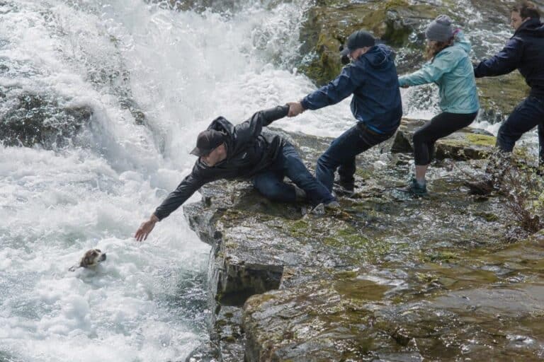 Une chaîne humaine de sauvetage formée spontanément par des étrangers pour sortir un chien de l'eau d'un barrage