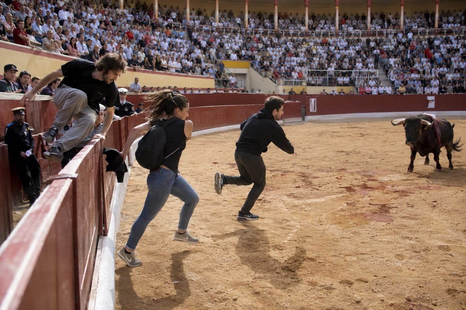 Militants anti-corrida sautant dans l'arène après la mise à mort du taureau à la feria de Dax