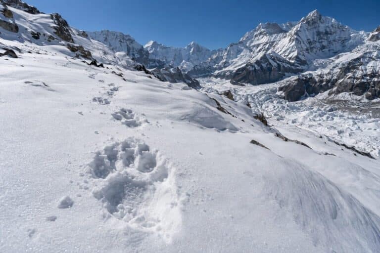 Empreinte de pas géante dans la neige de l'Himalaya